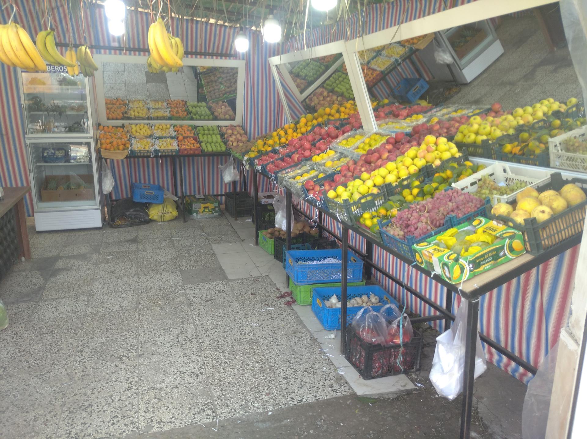 عکس میوه سرای ترنج