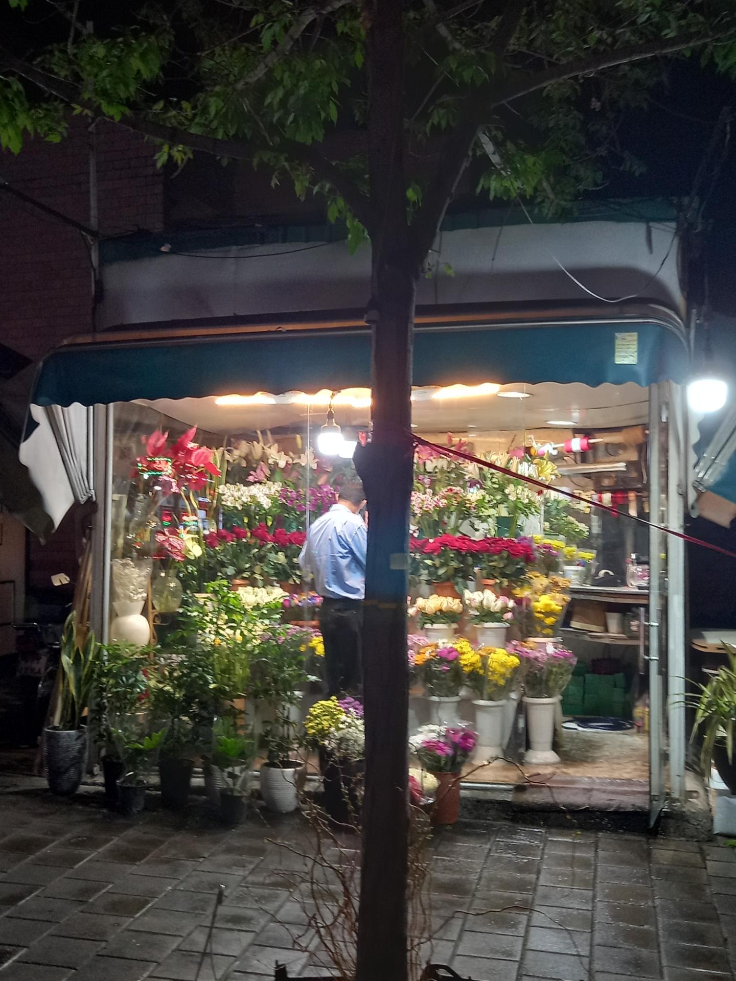 عکس گل فروشی آزادی