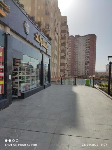 عکس پلاسکولند