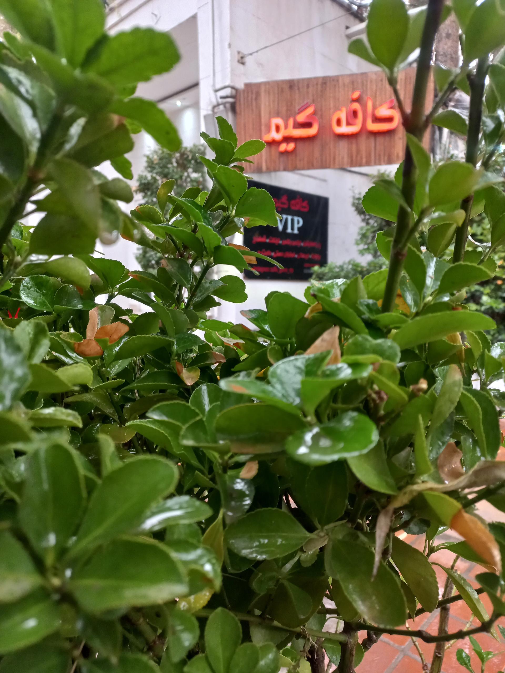 عکس کافه گیم vip