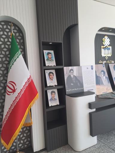 سازمان مرکزی دانشگاه