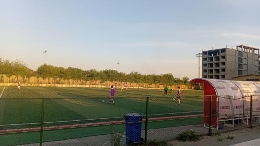 عکس زمین چمن وردآورد