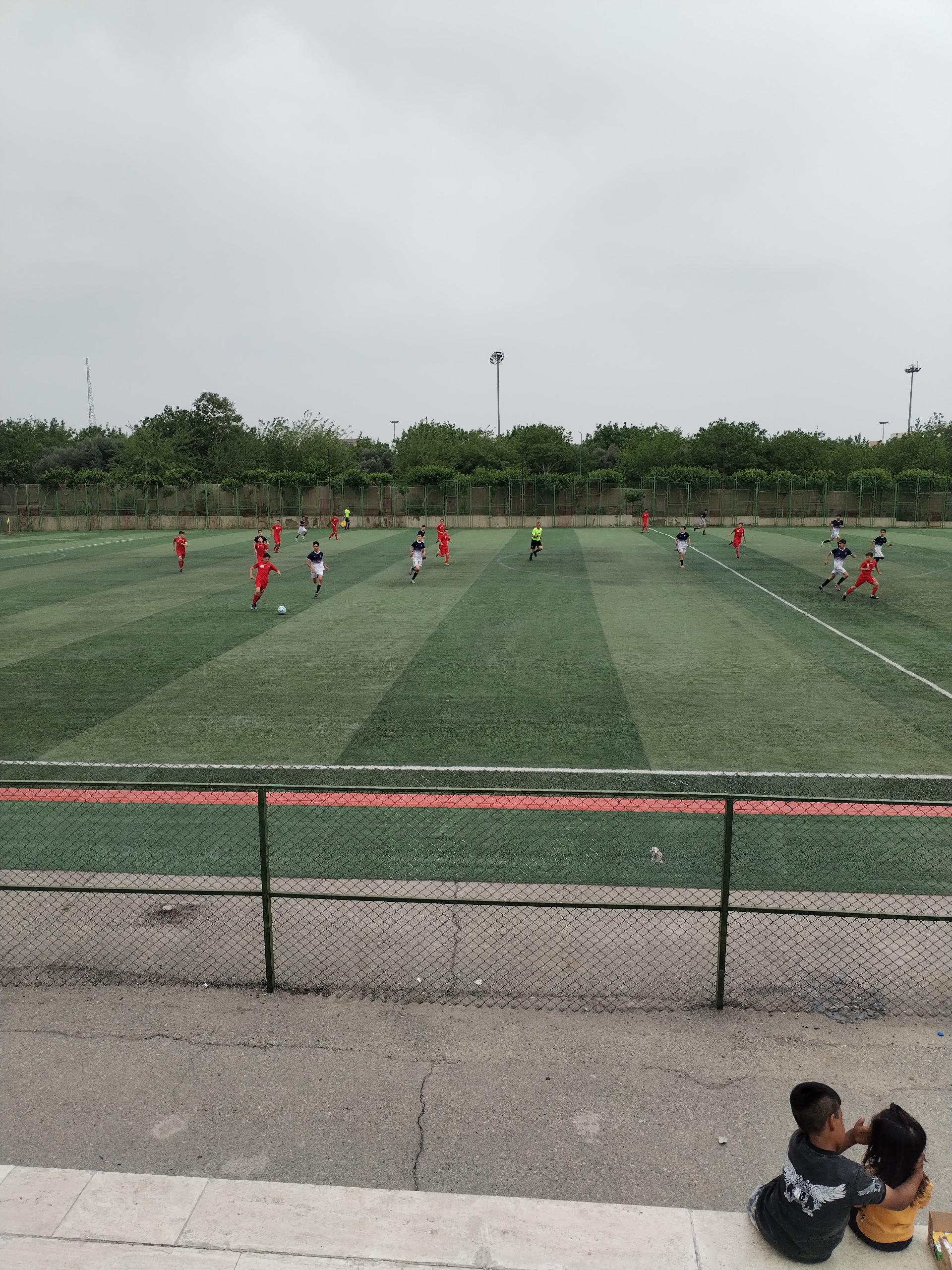 عکس زمین چمن وردآورد