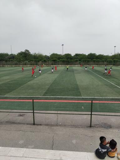 عکس زمین چمن وردآورد