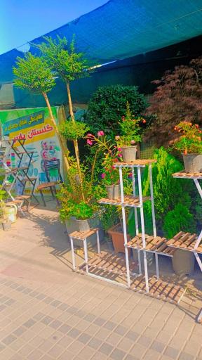 عکس گلستان یاس