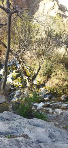 عکس آبشار آب ملخ (تخت سلیمان)