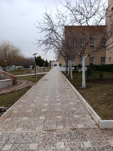 عکس سازمان مرکزی دانشگاه