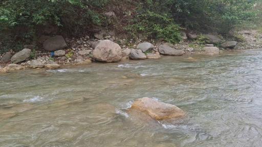 نیاسته