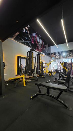 عکس باشگاه بدنسازی اسطوره