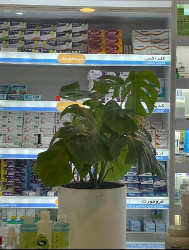 عکس داروخانه شبانه روزی دکتر حرمی پور