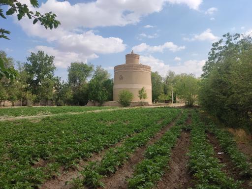 کبوتر خانه