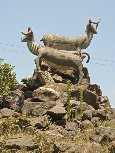 عکس پل گازروبار