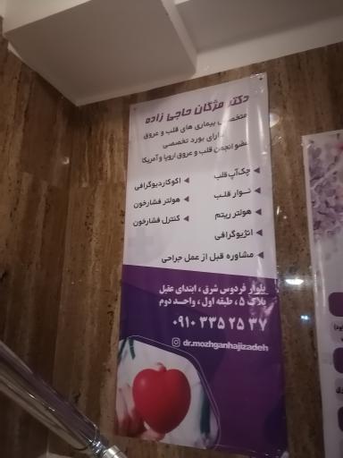 دکتر مژگان حاجی زاده (متخصص بیماری های قلب و عروق)
