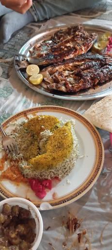 عکس مجتمع تفریحی رفاهی سردار جنگل