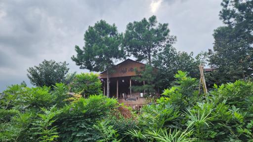 عکس اقامتگاه بومگردی گیلمار