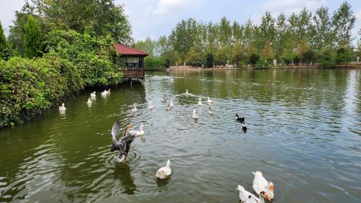 عکس اقامتگاه بومگردی گیلمار