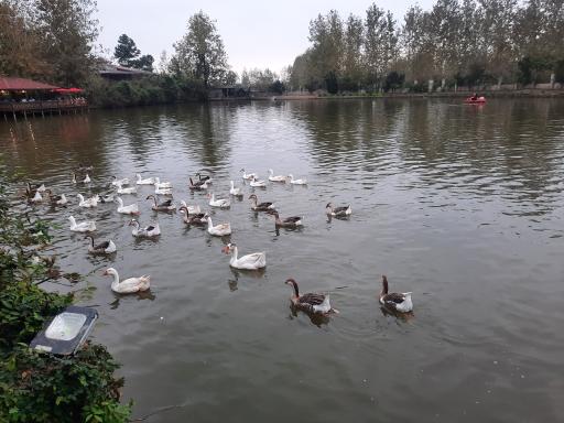 عکس اقامتگاه بومگردی گیلمار