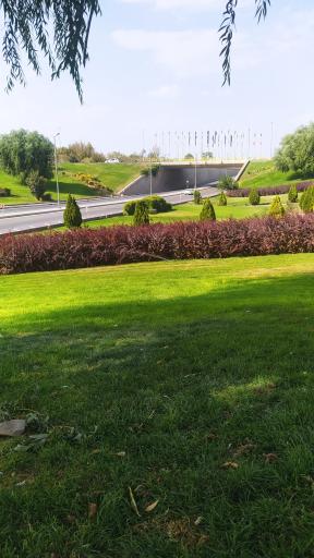 عکس میدان خلیج فارس