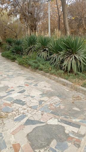 عکس بوستان ایثار