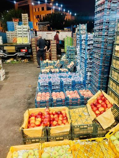 عکس تندیس پک ( شعبه 1 میدان تره بار مرکزی )