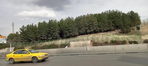 عکس باغ بانوان صدف