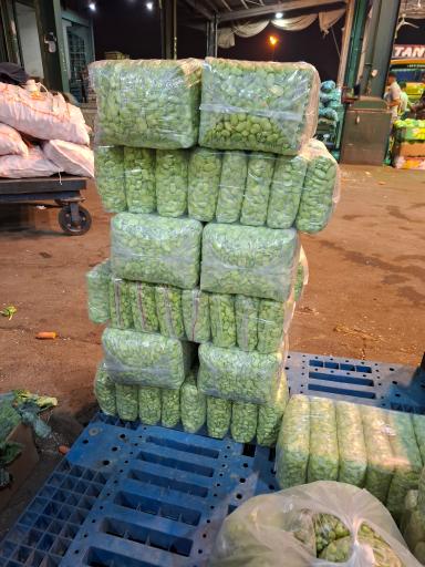 عکس سبزی خردکنی فروردین 