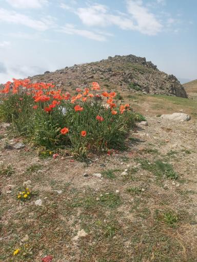 عکس منطقه حفاظت شده یای قاری
