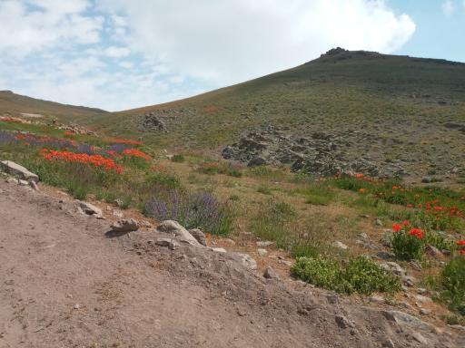 عکس منطقه حفاظت شده یای قاری