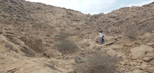 عکس بام قشم