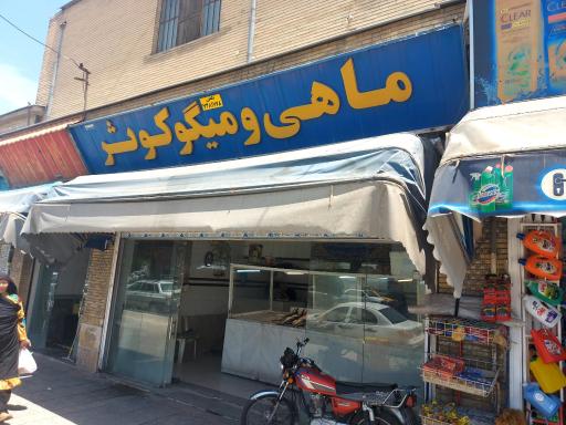 ماهی و میگو کوثر