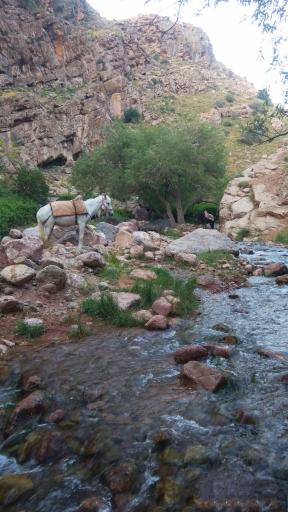 عکس ابدال آباد