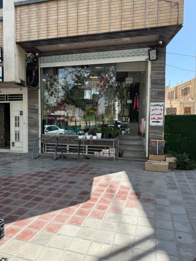 عکس گل یاس 