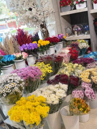 عکس گل یاس 