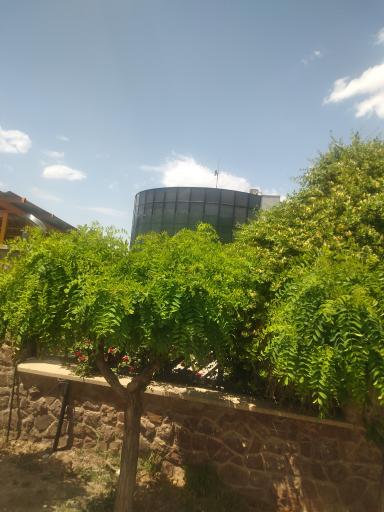 عکس کارخانه لیموندس