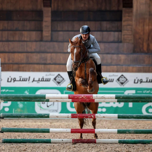 عکس باشگاه سوارکاری استاد رضایی