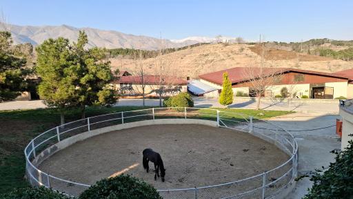 عکس باشگاه سوارکاری استاد رضایی