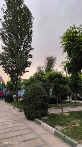 عکس بوستان کوی لاله