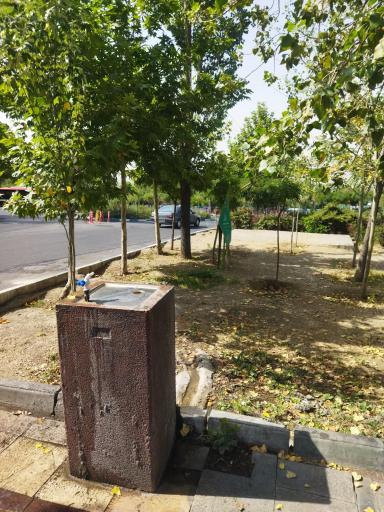 عکس بوستان کوی لاله