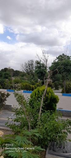 عکس بهشت رضوان فاز 2
