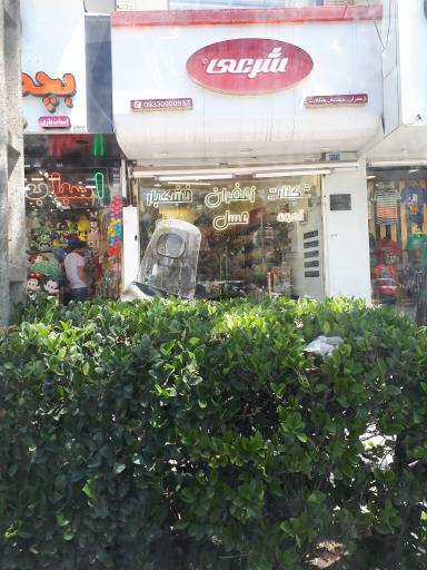 عکس زعفران شرعی