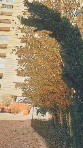 مجتمع نظام مهندسی