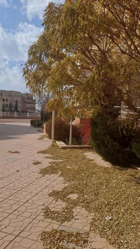 عکس مجتمع نظام مهندسی