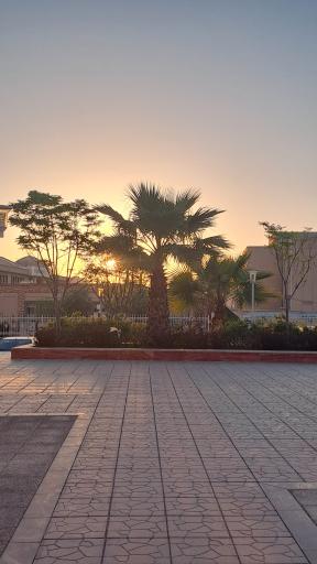 عکس مجتمع نظام مهندسی