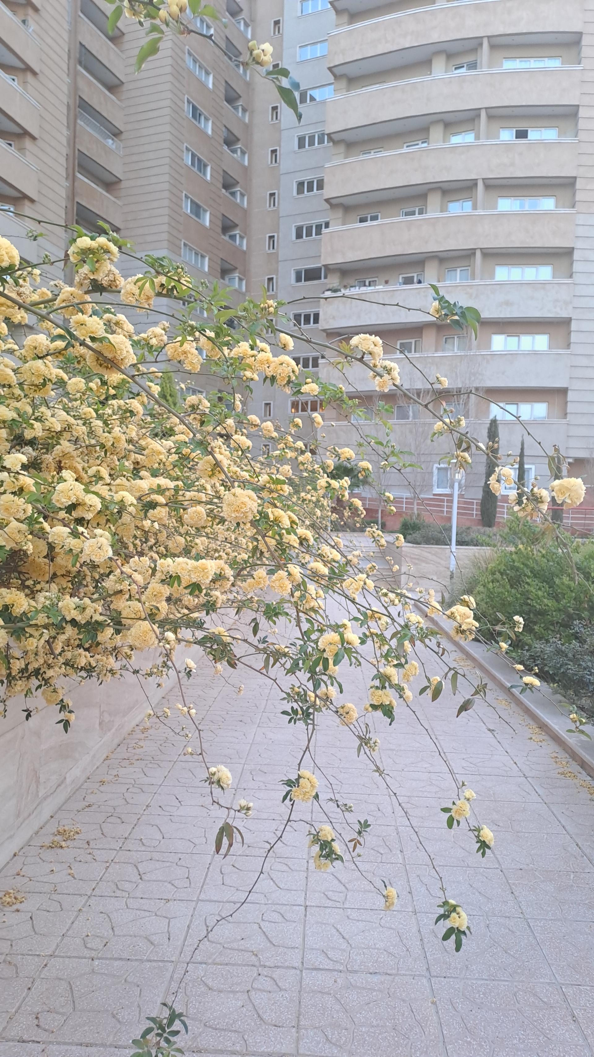 عکس مجتمع نظام مهندسی