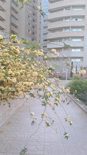 عکس مجتمع نظام مهندسی