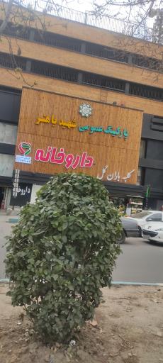 عکس داروخانه شایلی انصاری. مود