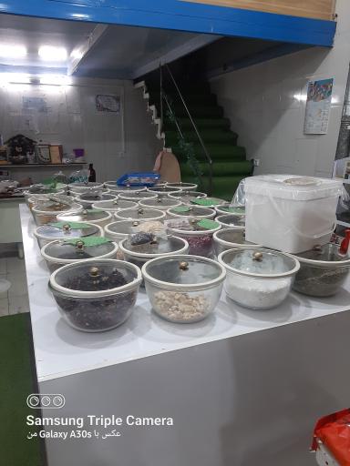 عکس ارده سنگی وکره بادام زمینی