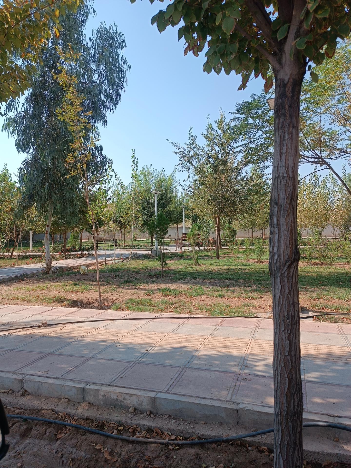 عکس بوستان سپیدار