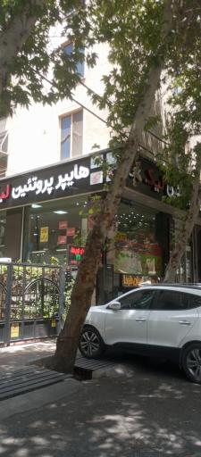 عکس هایپر پروتئین لیک
