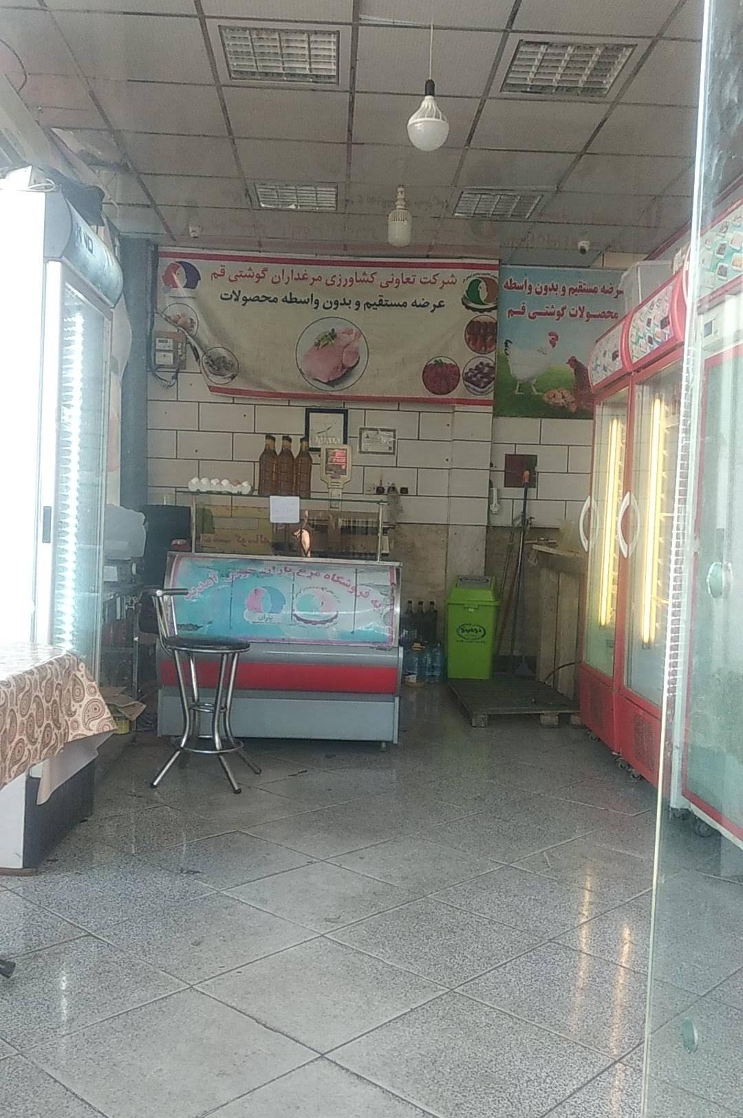 عکس پخش مرغ کوثر